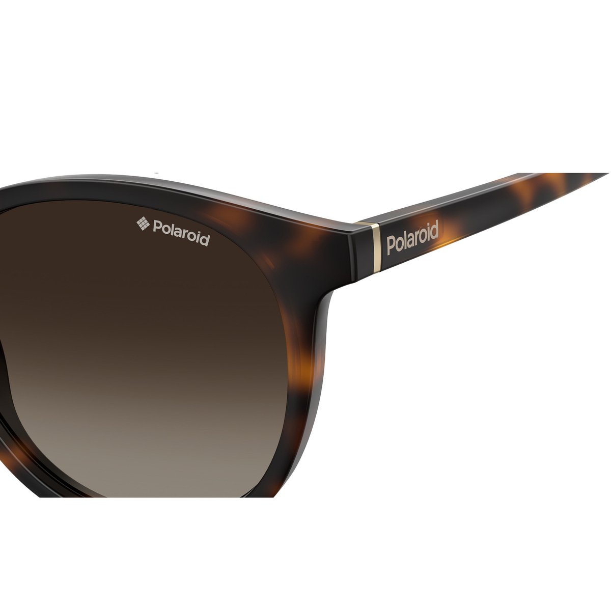 بولارويد نظارة شمسية للجنسين 6098S بتصميم دائري و لون بني