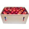 صندوق تفاح رويال جالا نيوزلاندي 17.5 كجم وزن تقريبي
