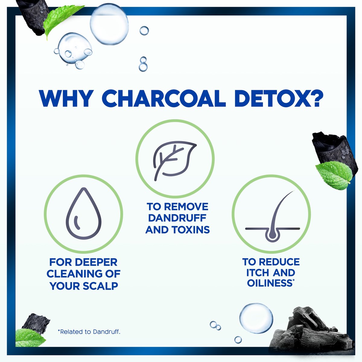 Head & Shoulders Charcoal Detox Anti-Dandruff Shampoo 3 x 400 ml