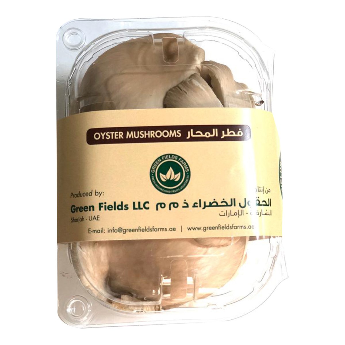 Oyster Mushroom UAE 100 g