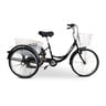 Bicycle 3-Wheel 20" 1SP-20 Assorted