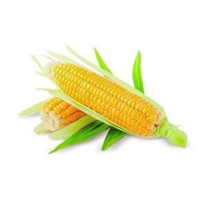 Sweet Corn Oman 1pkt
