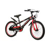 Skid Fusion Bicycle 20'' WZRY Assorted Colors