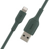 Belkin USB to Lightning Cable CAA001BT 1M Green
