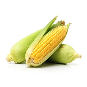 Sweet Corn Kuwait 1kg