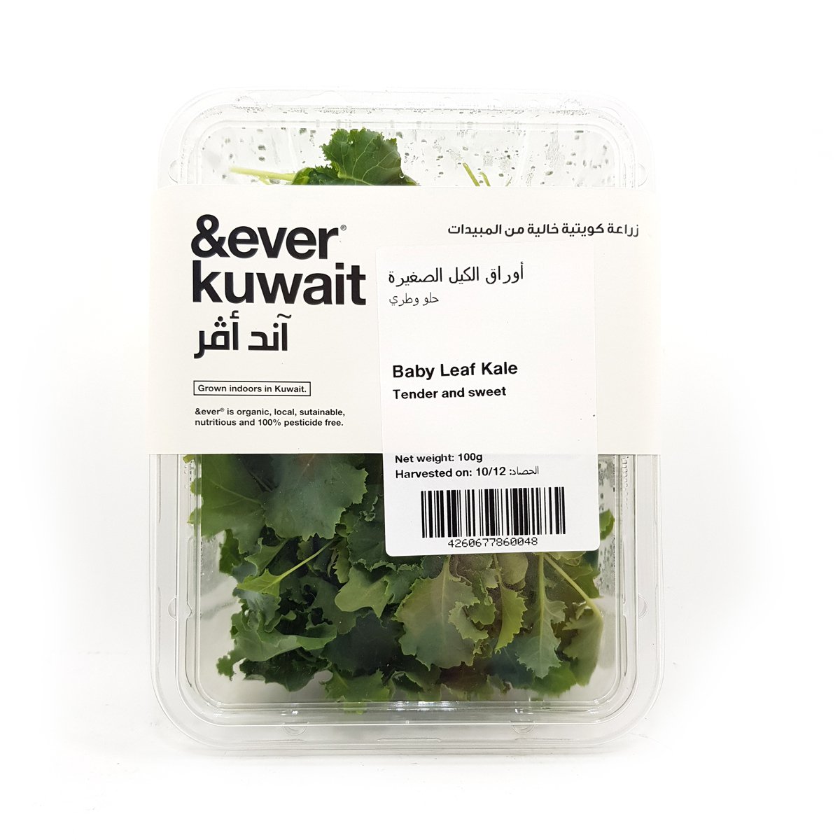 Ever Kuwait Baby Leaf Kale 100g