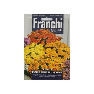 Franchi Flower Tagete Patula Nana Mixed Seeds 353/4