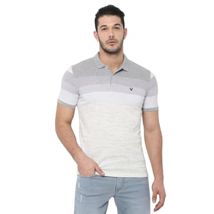 Allen Solly Men's Polo T Shirt Short Sleeve  ASKPWRGF898467 Light Grey M