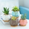 Maple Leaf 4pcs Flower Pot With Wooden Tray JL1011