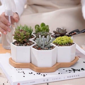 Maple Leaf 6pcs Flower Pot With Wooden Tray JL9115
