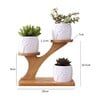 Maple Leaf 3pcs Flower Pot With Wooden Stand JL1412