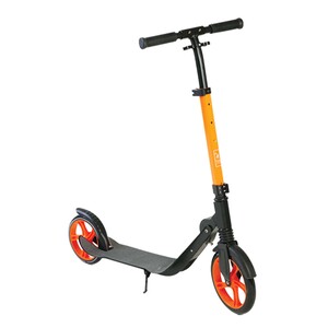 Skid Fusion Kick Scooter 2 Wheels L-2002 Assorted Color