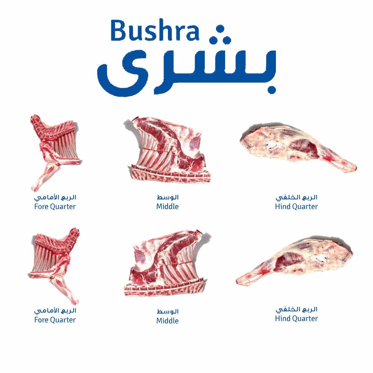 Bushra Lamb 6 Way Cut Whole Bone In 9-11 kg