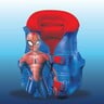 Spiderman  Printed Kids Inflatable Swim Vest - Multi Color  TRHA6008