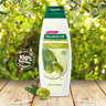Palmolive Moisturizing Shampoo Olive Oil 380ml