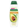 Palmolive Shampoo Nourish And Strength Avocado Oil 380 ml