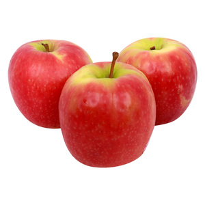 Apple Pink Lady South Africa 1 kg