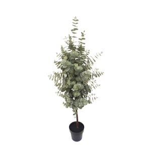 Maple Leaf Artificial Eucalyptus Tree with Pot 142cm 3268