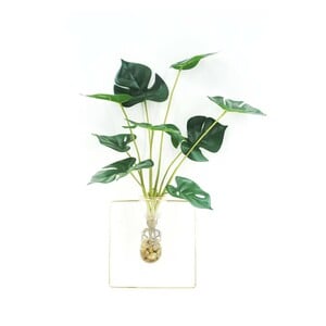 Maple Leaf Plant in Glass Bottle with Wall Frame 3363