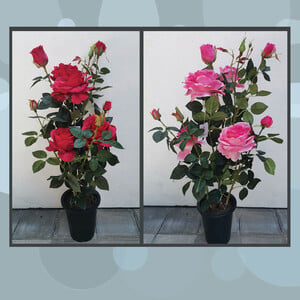 Maple Leaf Artificial Rose Pot Flower 51cm PFH2003937 Assorted Colors Per pc