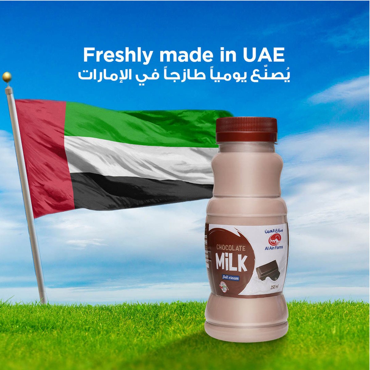 Al Ain Chocolate Milk 250 ml
