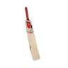 Bazooka Tennis Master Kashmir Willow Cricket Bat Grade 1