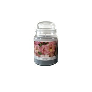 Maple Leaf Scented Glass Jar Candle with Lid MGP1013 410gm Gladiolus