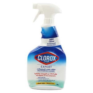 Clorox Multipurpose Cleaner Bleach Free 750ml