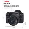 Canon Mirrorless Camera EOS R RF24-105mm STM Lens Kit