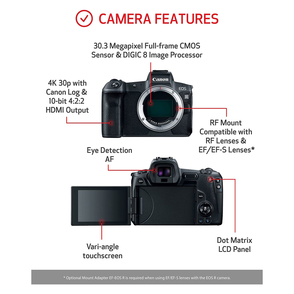 Canon Mirrorless Camera EOS R RF24-105mm STM Lens Kit