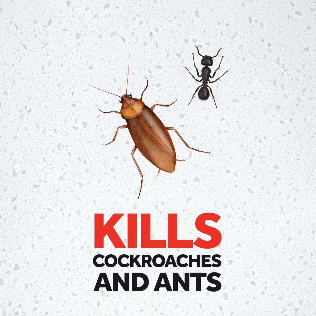 Raid Powder Cockroaches And Ants Continuous Protection 250g