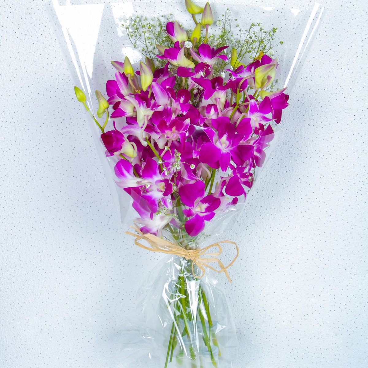 Double Colour Dendrobium Orchids Bunch with Baby Breath