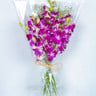 Double Colour Dendrobium Orchids Bunch with Baby Breath