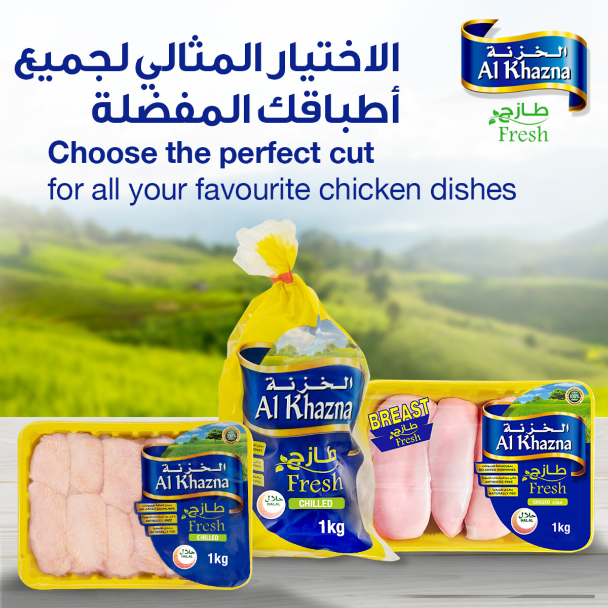 Al Khazna Fresh Chicken Breast Boneless 1 kg