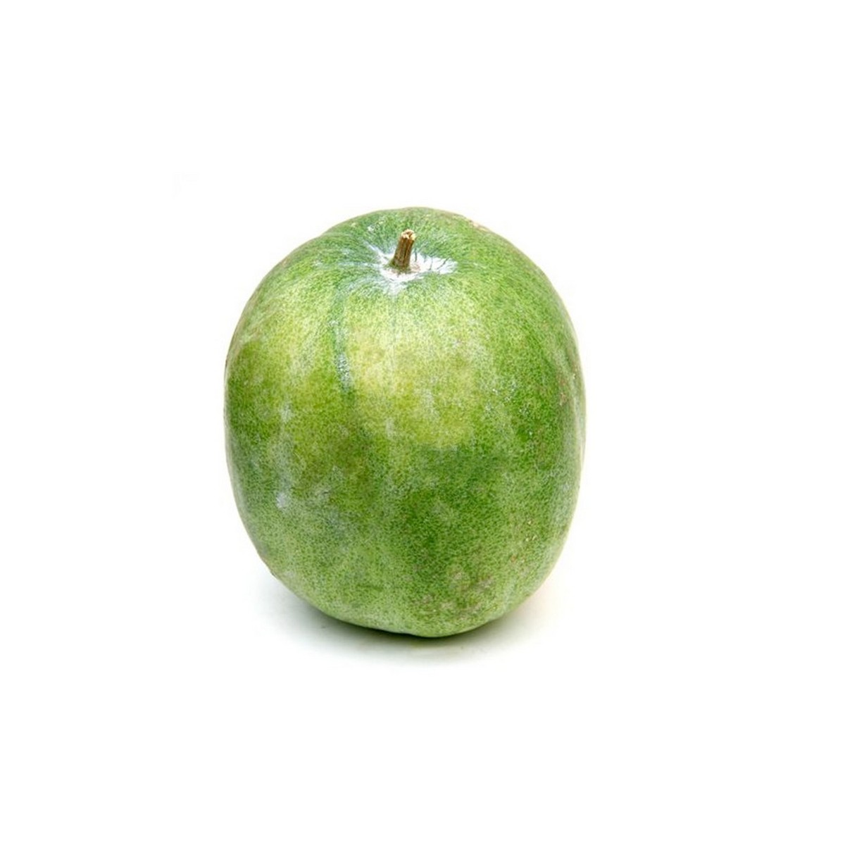 Buy Ash Gourd Oman 1 pc Online at Best Price | Green Vegetables | Lulu KSA in Saudi Arabia