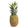 Pineapple India 1 pc (1 kg - 1.3 kg)