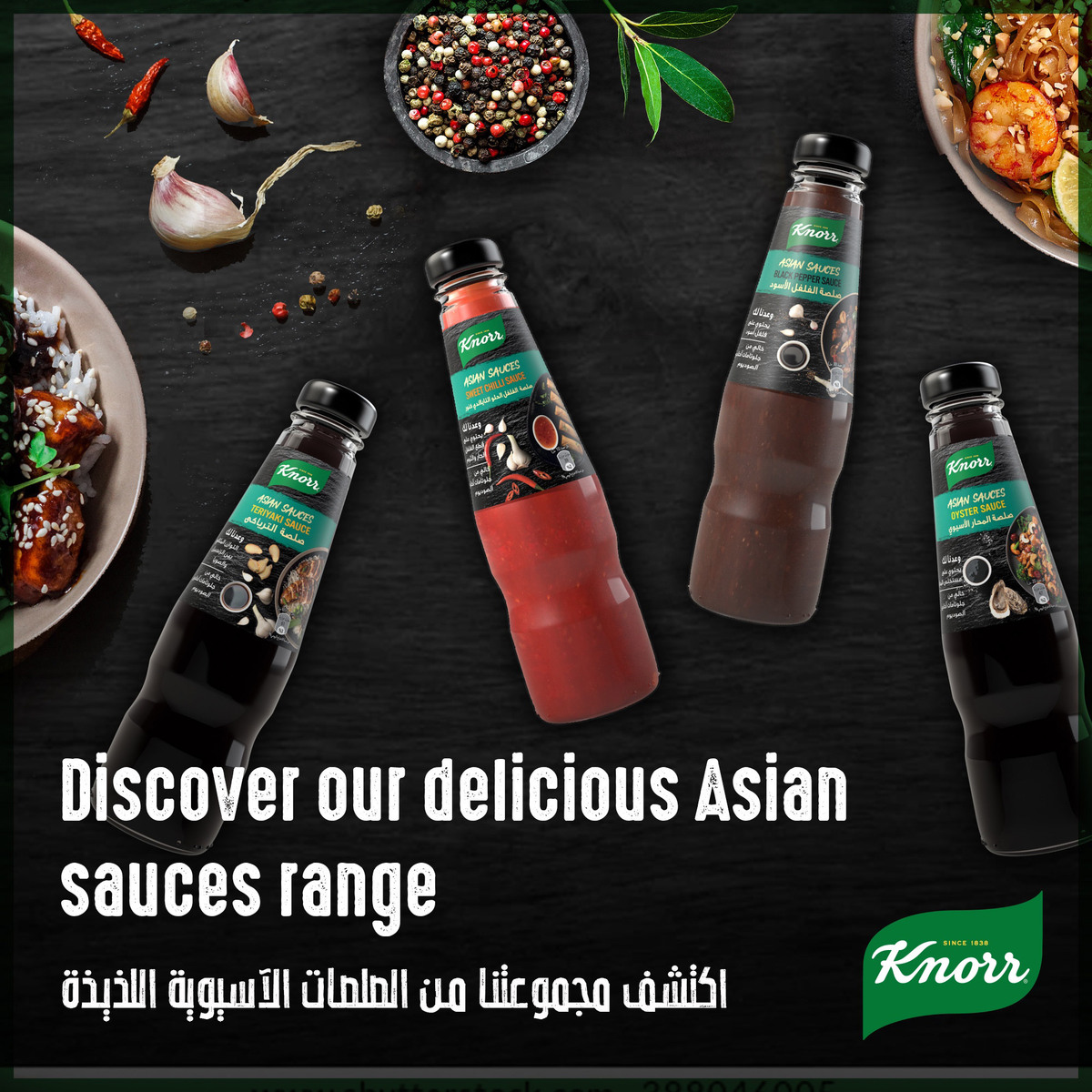 Knorr Asian Teriyaki Sauce 290 ml