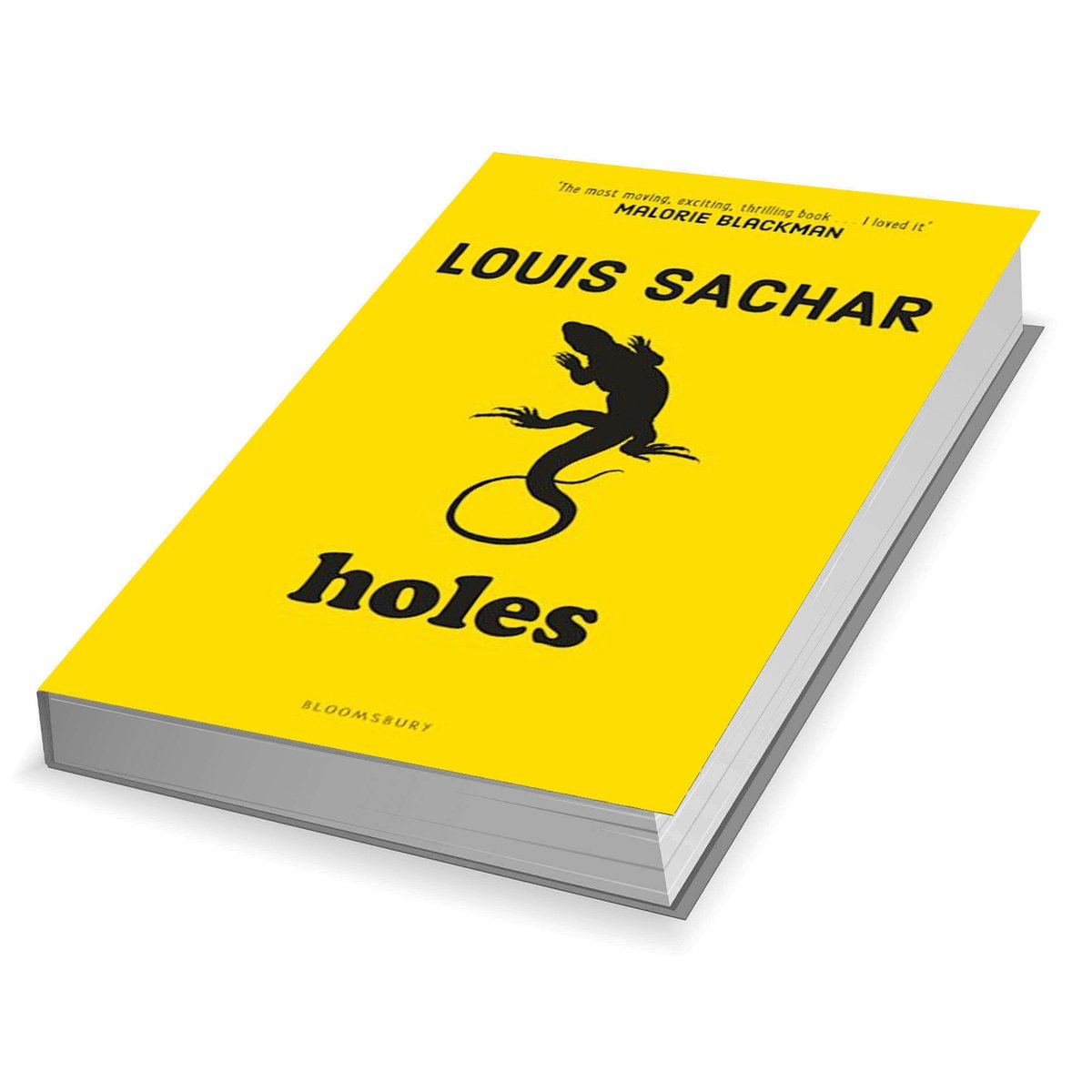 LOUIS SACHAR Build a Book Lot Choose Titles Sideways -  UK