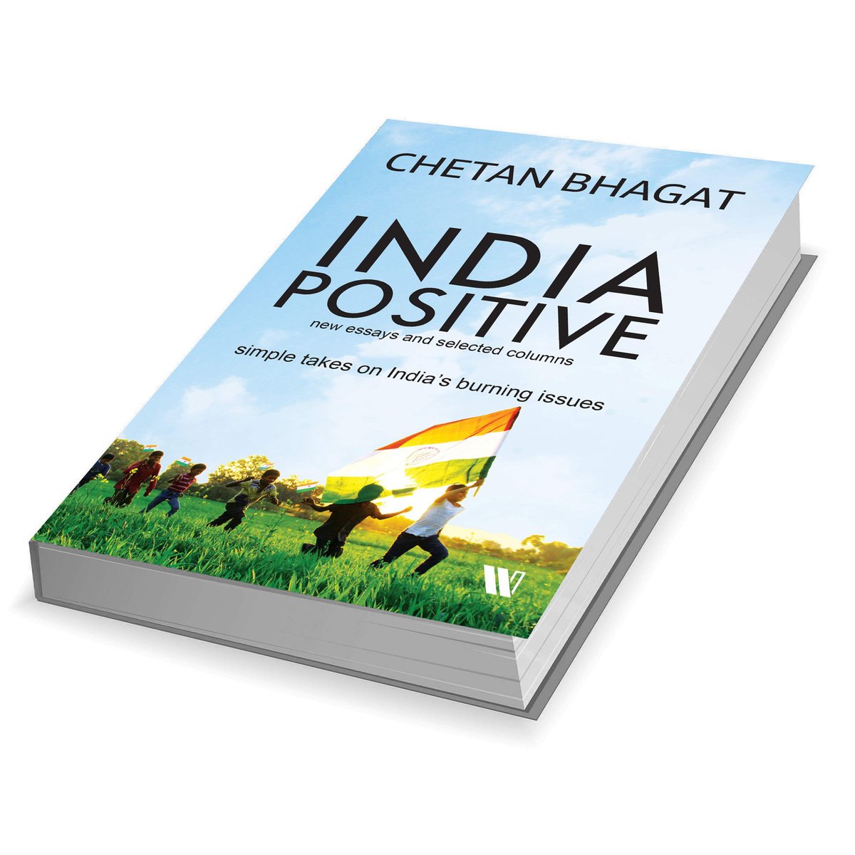 India Positive : New Essays And Selected Columns