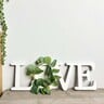 Maple Leaf Home/Love Sign Wooden Cutout Word Art Tabletop Decor, 40 x 2 x 12cm Assorted