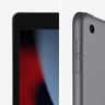 Apple iPad 2021 (9th Generation) 10.2-inch, Wi-Fi, 256GB - Grey