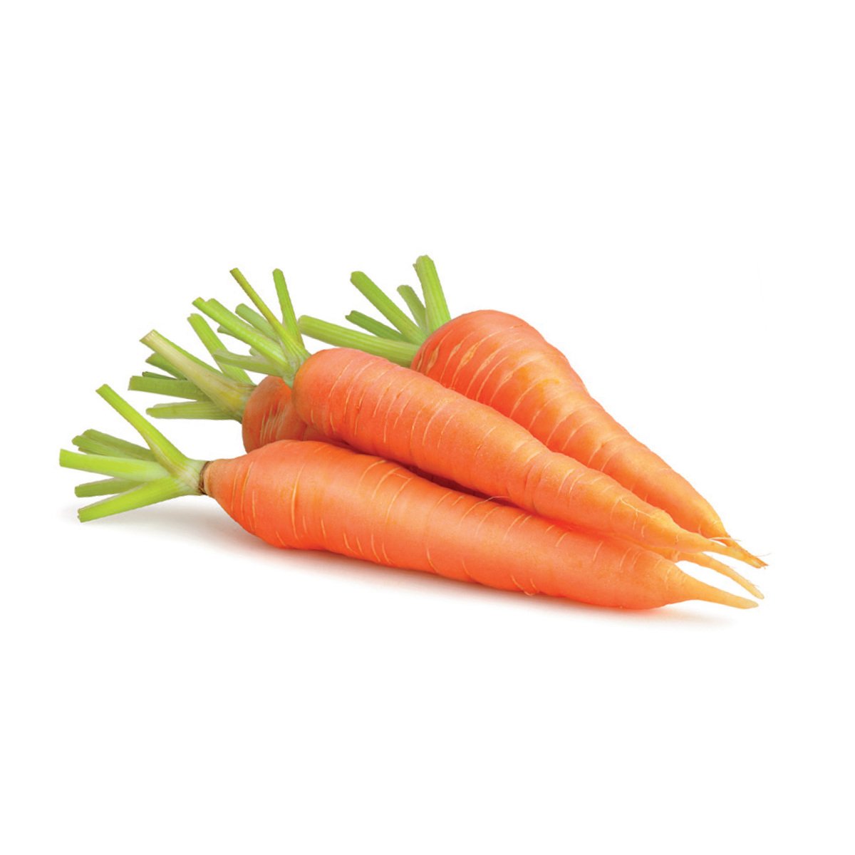 Carrots Nawami Saudi 1pkt