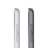 Apple iPad 2021 (9th Generation) 10.2-inch, Wi-Fi, 4G, 256GB - Grey