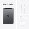 Apple iPad 2021 (9th Generation) 10.2-inch, Wi-Fi, 4G, 256GB - Grey