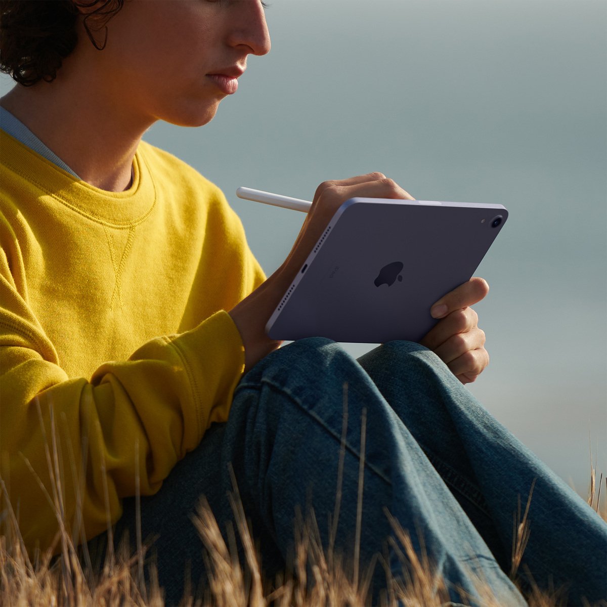 Apple iPad mini 2021 (6th Generation) 8.3-inch, Wi-Fi, 64GB - Purple Online  at Best Price | Tablets | Lulu Qatar