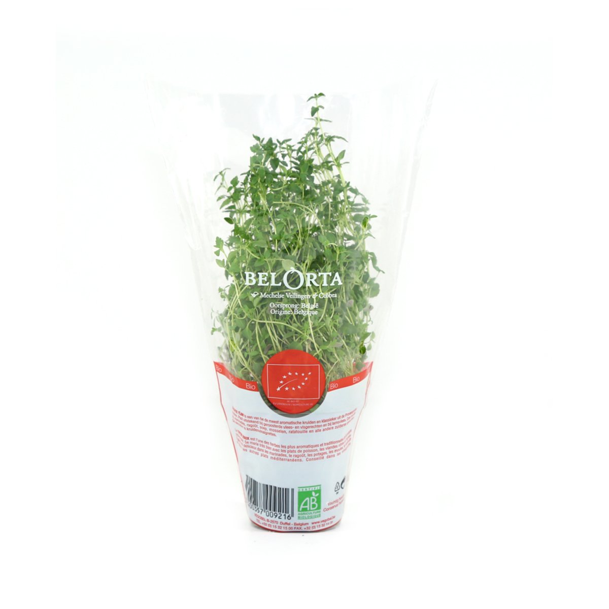 Holland Thyme Leaves 1pkt