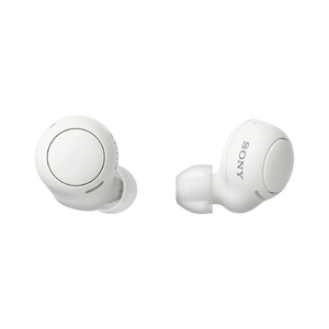 Sony WF-C500 True Wireless In-Ear Headphones,White