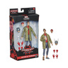 Spiderman Into the Spider-Verse Peter B. Parker F0256
