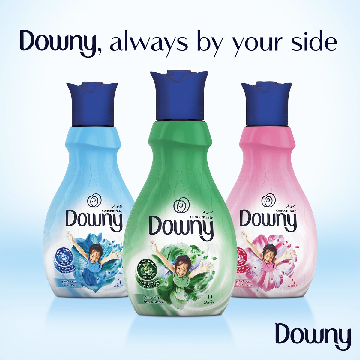 Downy Concentrate Fabric Softener Dream Garden 2 x 1.5Litre