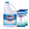 Clorox Bleach Regular 1 Gallon + Expert Disinfecting Wipes 2 x 15pcs